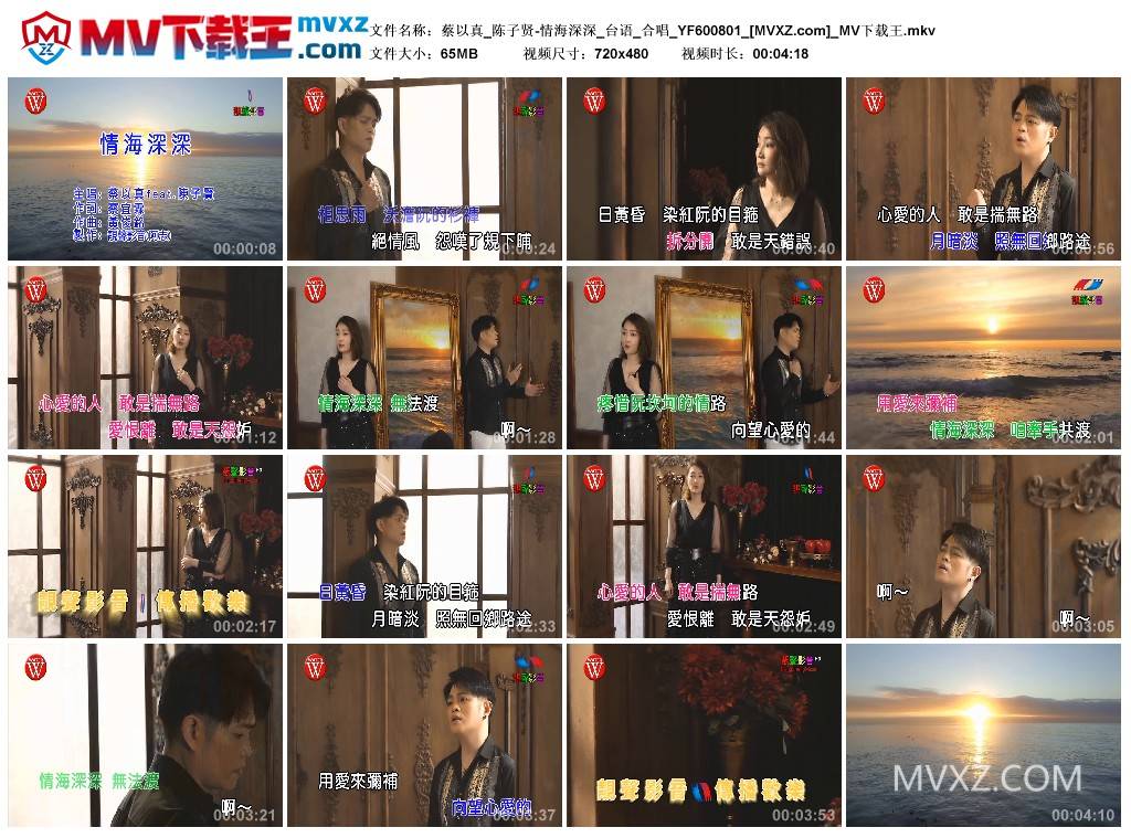蔡以真_陈子贤-情海深深_台语_合唱_YF600801